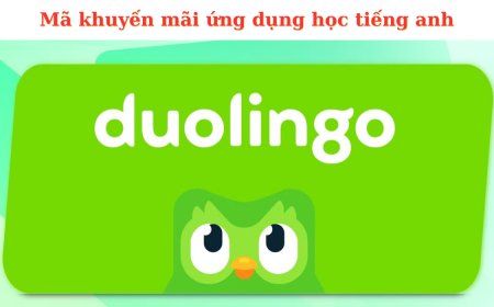 Mã khuyến mãi ứng dụng học tiếng anh Duolingo mới nhất 2025